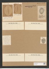 Diatomeae indet. Zeichnungen Sammlung Grunow Nr. 3746 (NHMW-BOT-W0371392)